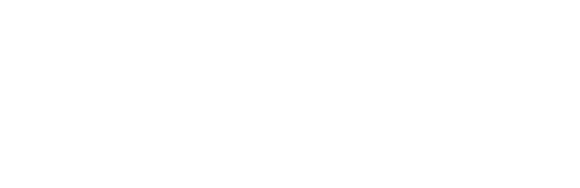 zebra-logo-white